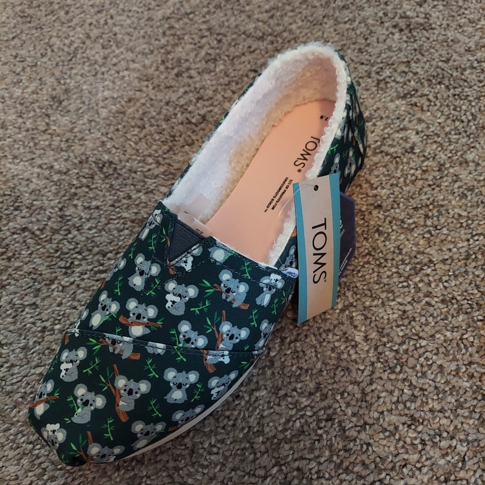 Tom's shoes